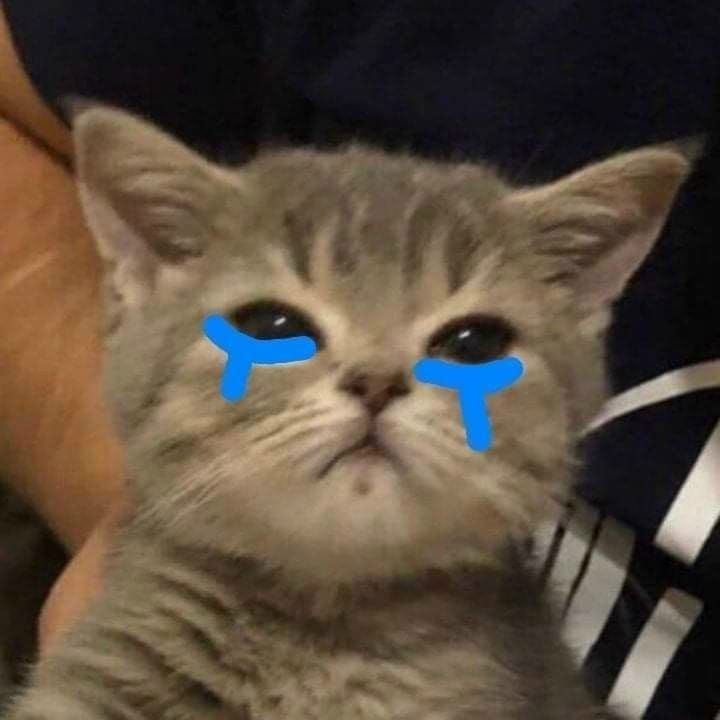 MinhHuy-WusTeam